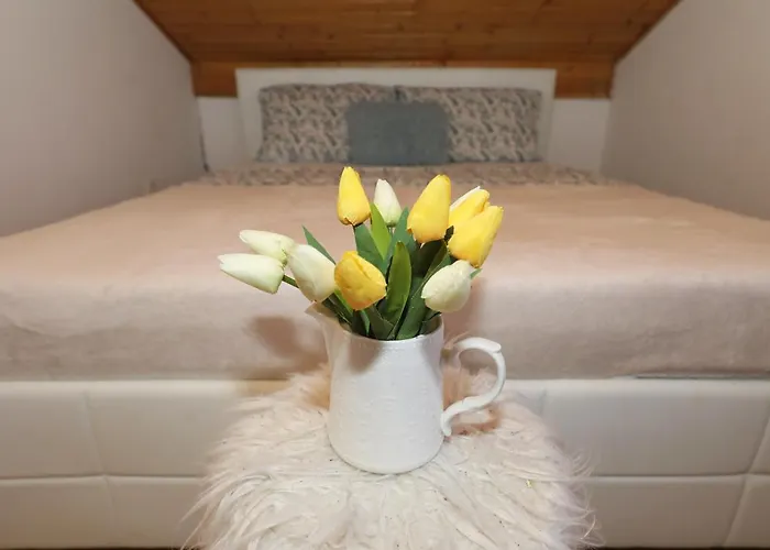 Appartement Sea Pearl 1-ambience *