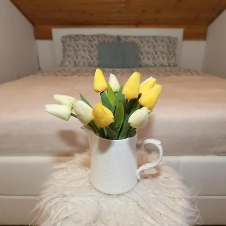 Appartement Sea Pearl 1-ambience *